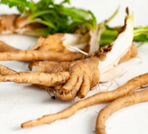 Natural roots representing the three-strain probiotic blend in Javatide