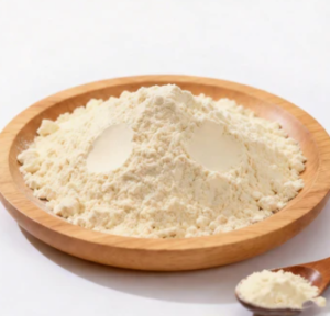 Bowl of chicory root inulin, prebiotic fiber ingredient in Javatide